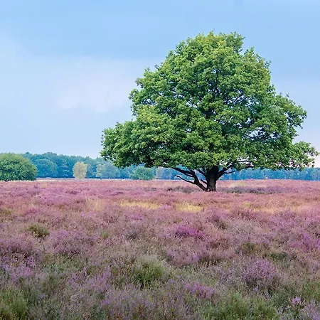 公寓 Luxury Fully Equipped - Centrally Located 赫伊曾