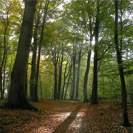 公寓 Luxury Fully Equipped - Centrally Located