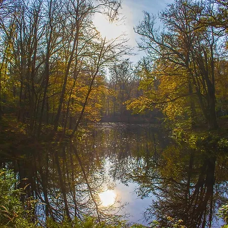 公寓 Luxury Fully Equipped - Centrally Located