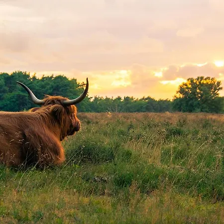 Luxury Fully Equipped - Centrally Located *