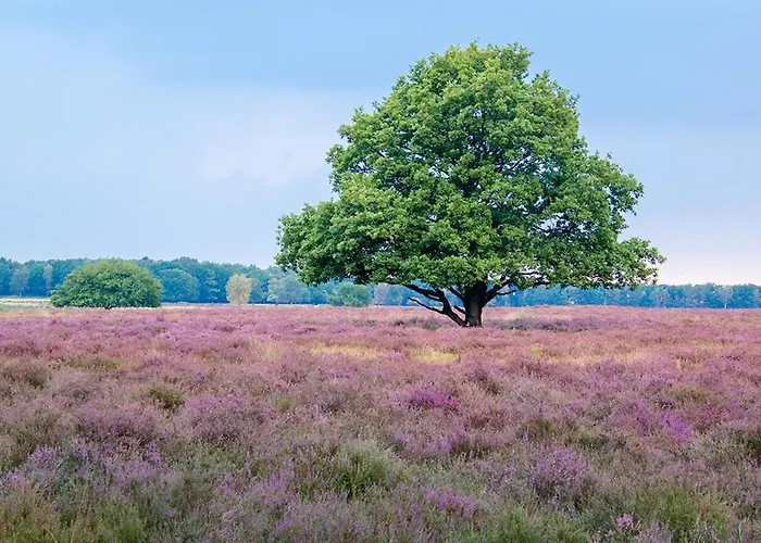 アパート Luxury Fully Equipped - Centrally Located ハイゼン