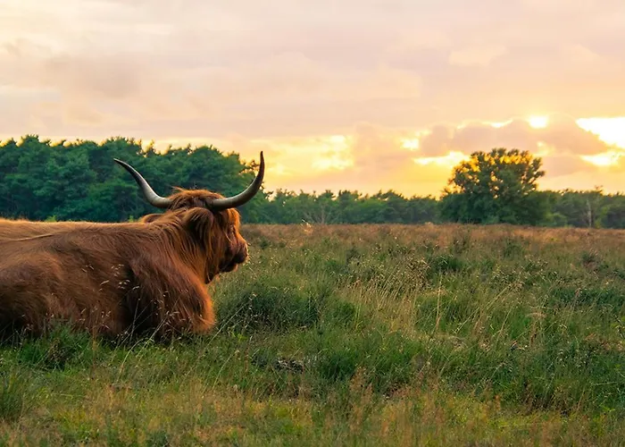 Luxury Fully Equipped - Centrally Located *