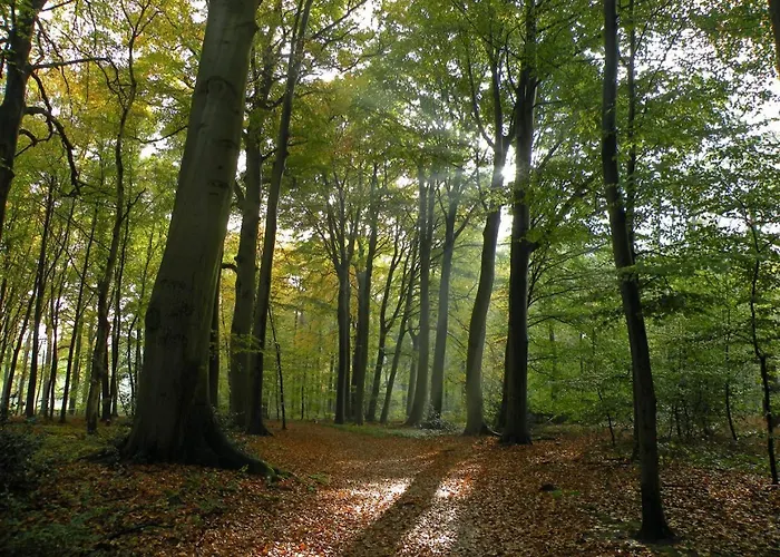 アパート Luxury Fully Equipped - Centrally Located